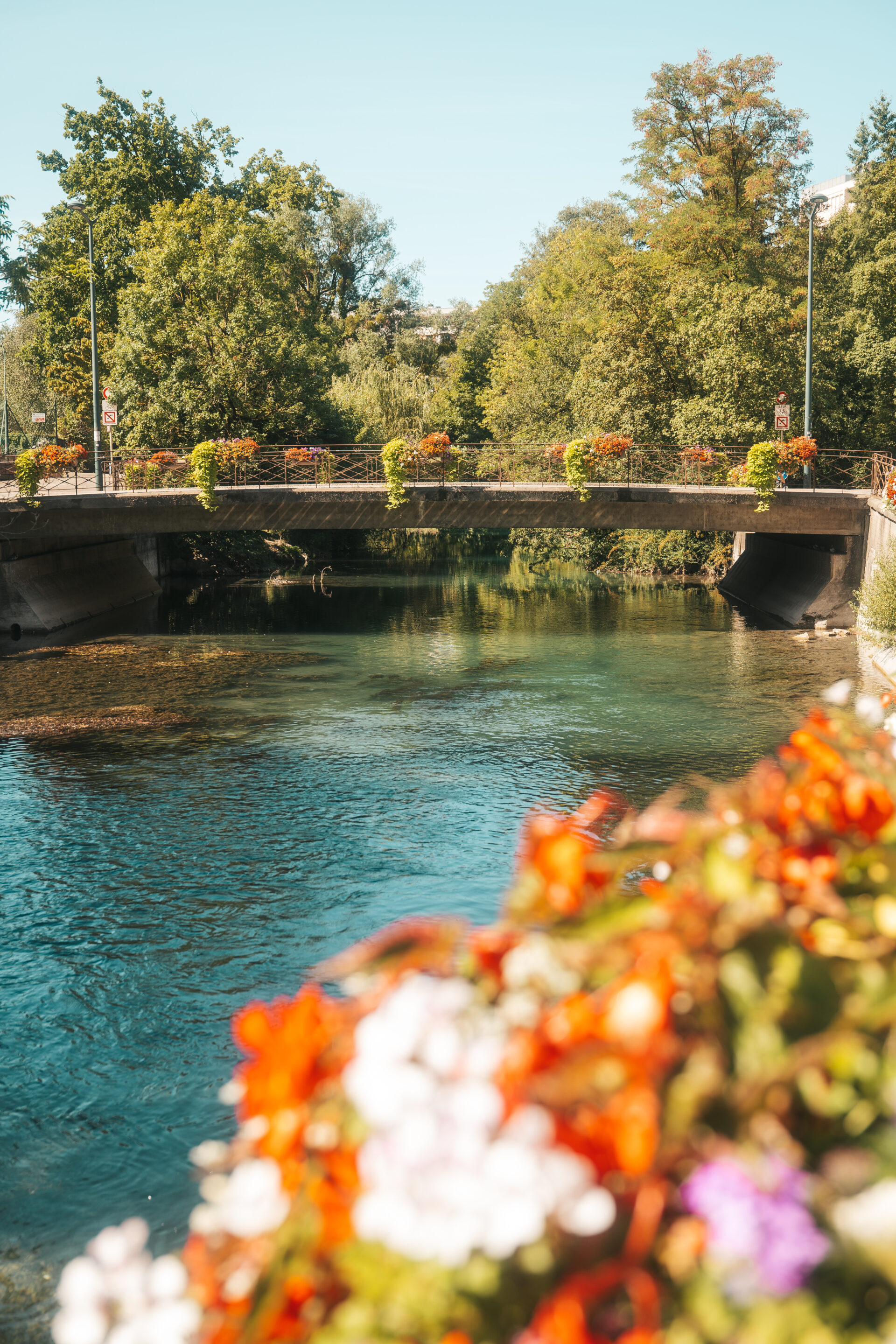 Activités pour enfants à Annecy : Balade du bord du Thioux